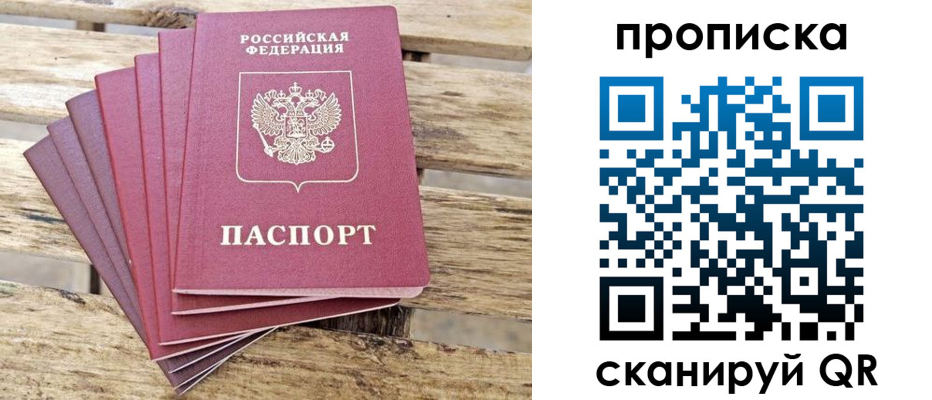 прописка штамп в Сальске